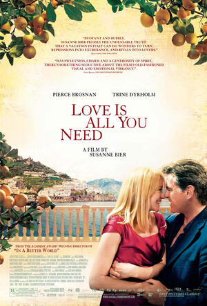 Love Is All You Need 2013 poster