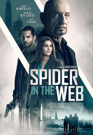 Spider in the Web poster