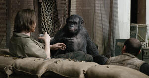 Talking Monkey Movies