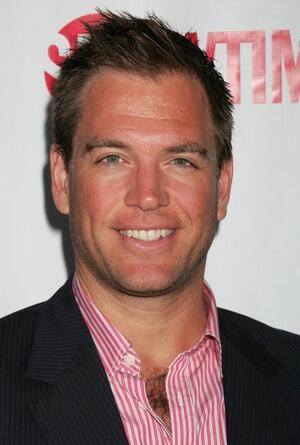 Michael Weatherly