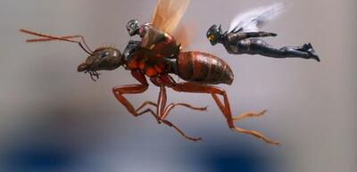 'Ant-Man and the Wasp' Microscopic Quiz