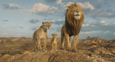 December 2024's Must-See Movie Guide