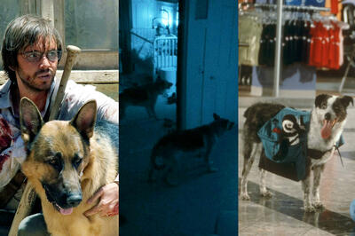 Heroic Dogs in Horror Movies