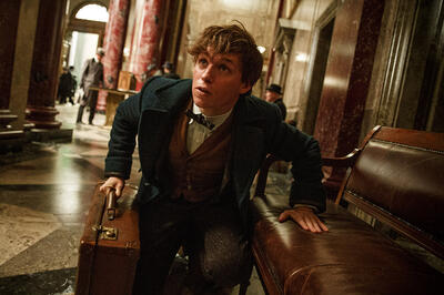 The Wizarding World of 'Fantastic Beasts and Where to Find Them' Dazzles in New Trailer