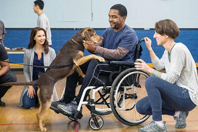 Watch Exclusive 'A Dog's Way Home' Clip: New Friends