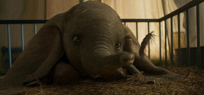Fly, 'Dumbo,' Fly; Here's Everything We Know