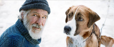 Next 3 Exciting Family Adventures: 'Onward,' 'Mulan,' 'Peter Rabbit 2: The Runaway'