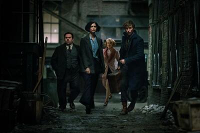  Are Your Kids Ready for the PG-13-Rated 'Fantastic Beasts'?