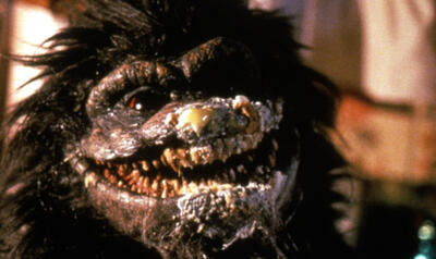 Versus: Which Creature Won't Get a Hug From You?
