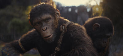 'Kingdom Of The Planet Of The Apes': Buy Tickets To Premium Fomrats And Early Access Screening, Plus Sweepstakes Info!