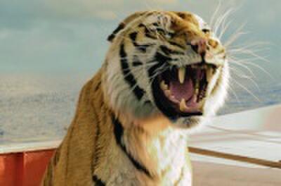 Chatter: Which Best Picture Nominee Must Be Seen on the Big Screen?