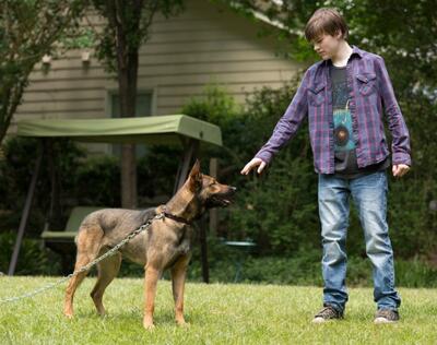 7 Movies that Celebrate the Bond Between Kids and Dogs