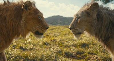 'Mufasa: The Lion King': Get Your Tickets And Take An Exclusive Look Behind The Scenes