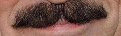 It's Movember! Can You Guess These Celebrity Mustaches?