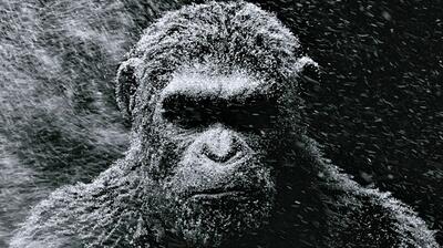 Watch Menacing Teases for 'War for the Planet of the Apes' and 'John Wick: Chapter 2'