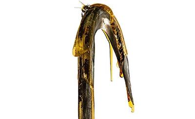 The Week in Movie Trailers: The Return of ‘Candyman,’ Animated Feature ‘Rumble’ and More