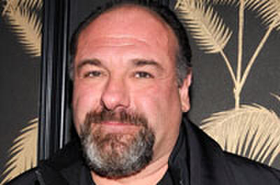 The Final Three Projects of James Gandolfini