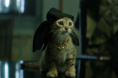 'Keanu' Red-Band Trailer: Key and Peele Put the Cutest Cat Ever into an Action Movie