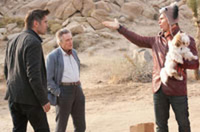 Indie Close-Up: 'Psychopaths' and 'Thieves' Lead a Busy Weekend for Indie Flicks