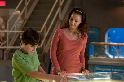 Dolphin Tale Fandango