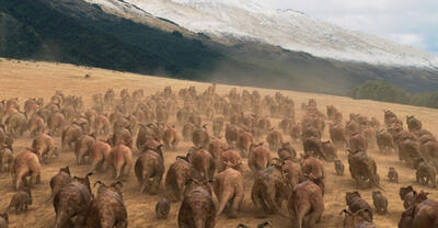 walking with dinosaurs family ticket