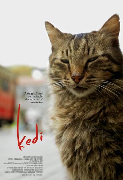 kedi tickets showtimes near you