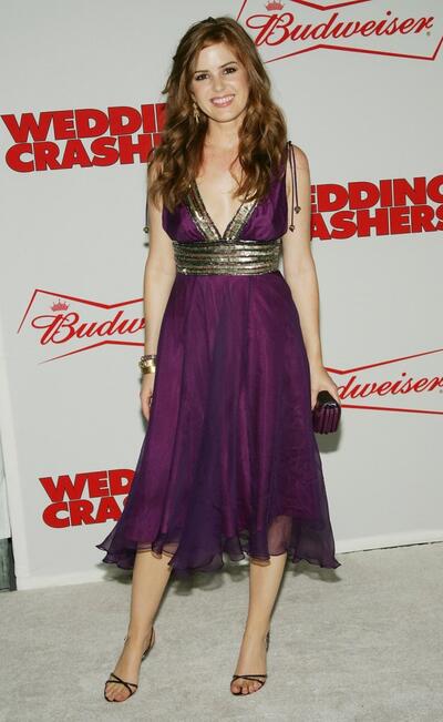 isla fisher purple dress Wedding Crashers (2005)