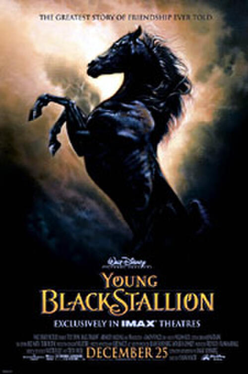ワイルドブラックTHE BLACK STALLION USオリジナル映画ポスター The Black Stallion (1979) Original Movie Posters