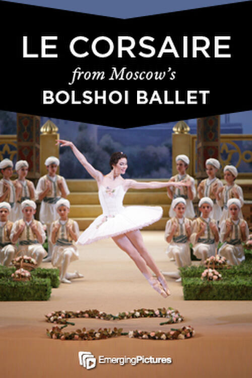 Le Corsaire Bolshoi Ballet Live Fandango
