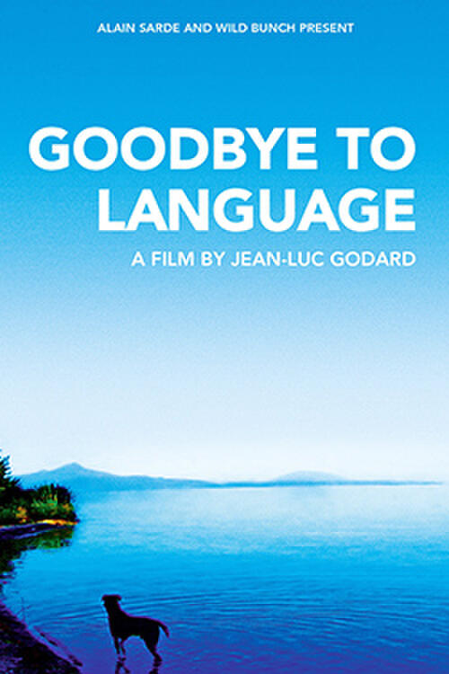 Goodbye to Language 3D (2014)