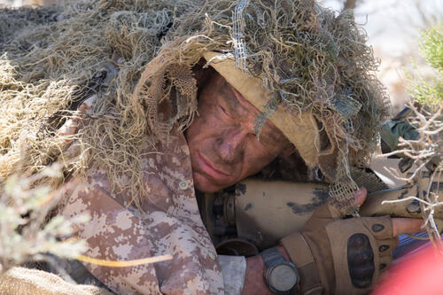 Fandango Watch Movie Online