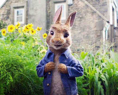 5. Peter Rabbit $10M