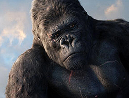 King Kong (2005) Synopsis | Fandango
