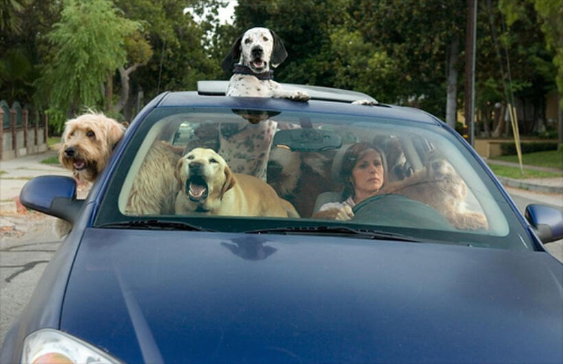 Molly Shannon stars as a secretary who deals with the loss of a pet in "Year of the Dog."