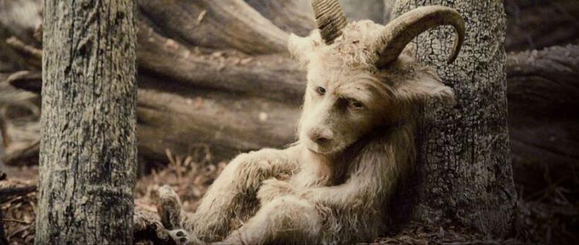 Paul Dano as Alexander in "Where the Wild Things Are."