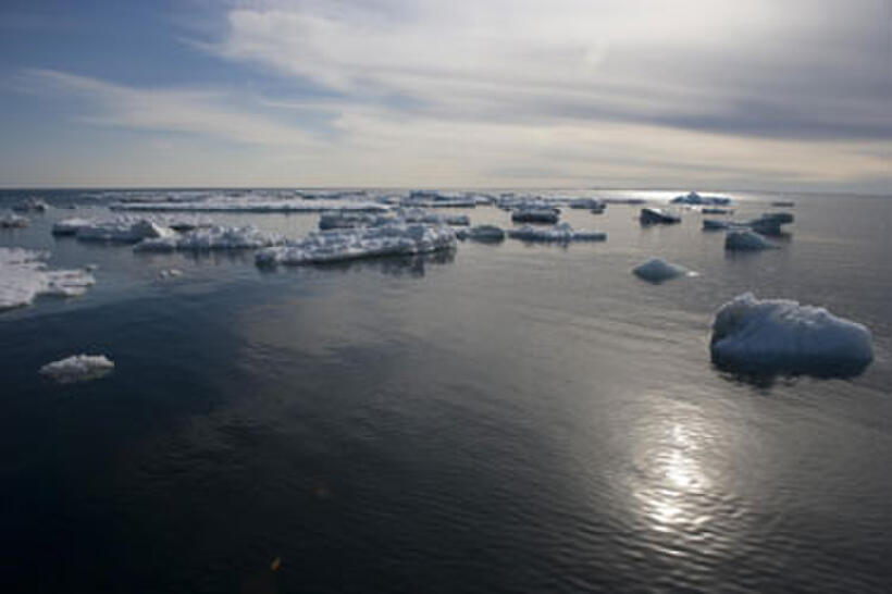 A scene from "Arctic Tale."