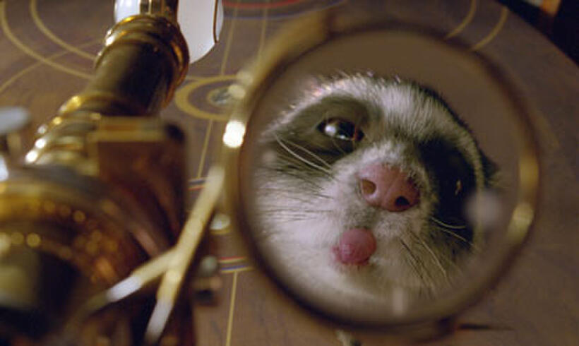 Freddie Highmore as the voice of Lyra’s daemon Pantalaimon in "The Golden Compass."
