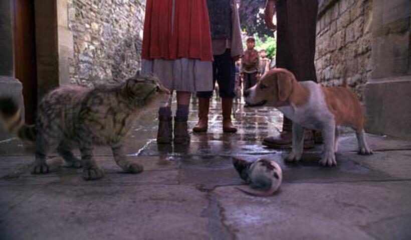 Freddie Highmore as the voice of Pantalaimon in "The Golden Compass."