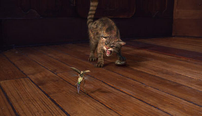 Freddie Highmore as the voice of Pantalaimon, who protects the compass from the evil spyfly in "The Golden Compass."