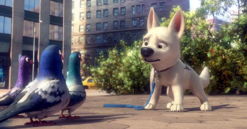 Bolt in "Bolt."