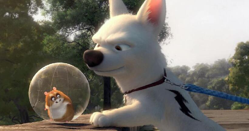 Rhino and Bolt in "Bolt."