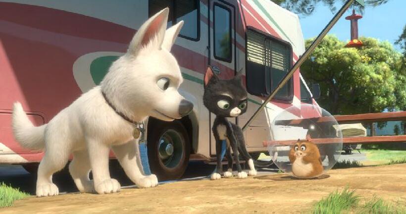Bolt, Mittens and Rhino in "Bolt."