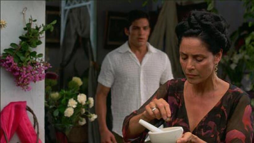 Sonia Braga and Nicholas Gonzalez in "Sea of Dreams."