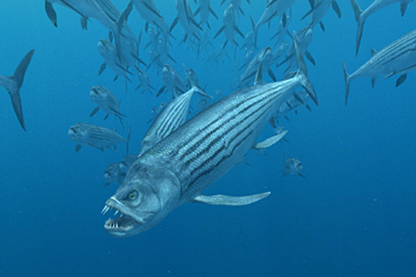 A scene from "Sea Monsters: A Prehistoric Adventure."
