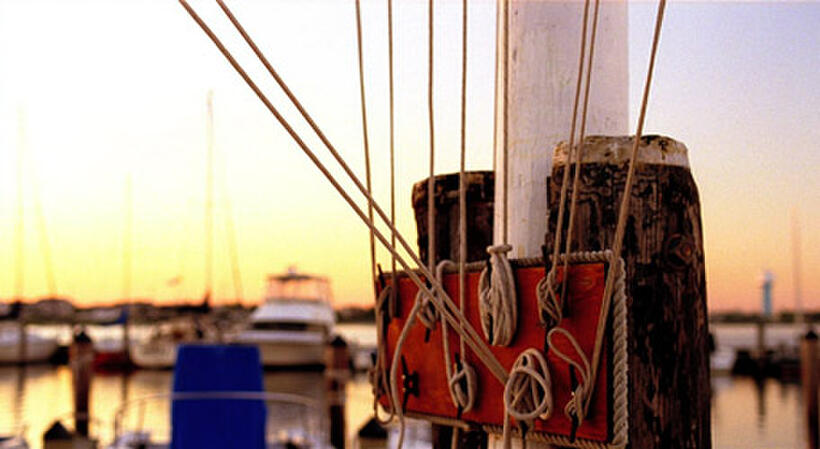 A scene from "Greetings From the Shore."