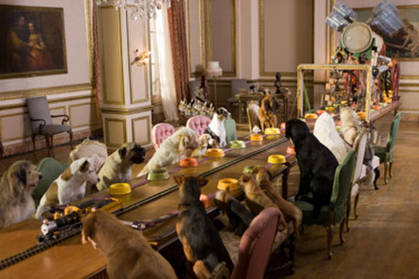 A scene from "Hotel for Dogs."