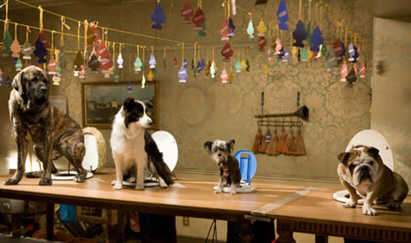 A scene from "Hotel for Dogs."