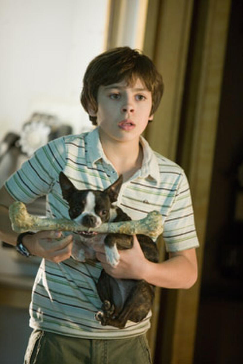 Jake T. Austin in "Hotel for Dogs."