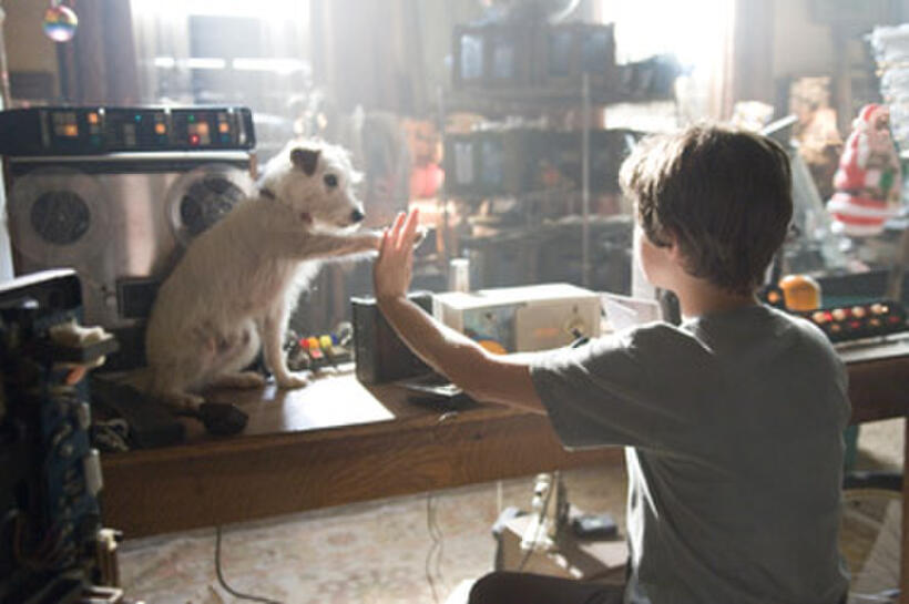 Jake T. Austin in "Hotel for Dogs."