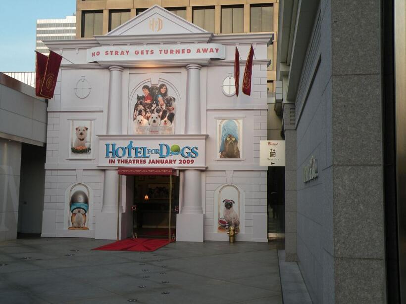 A scene from "Hotel for Dogs."
